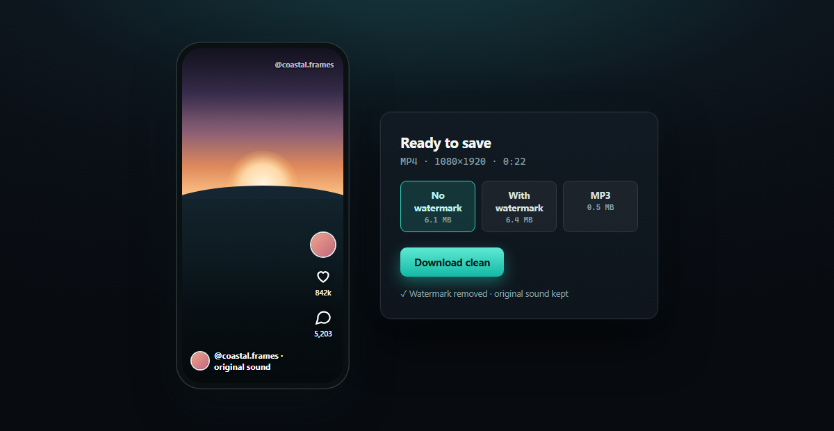 TikTok Video Download — result panel