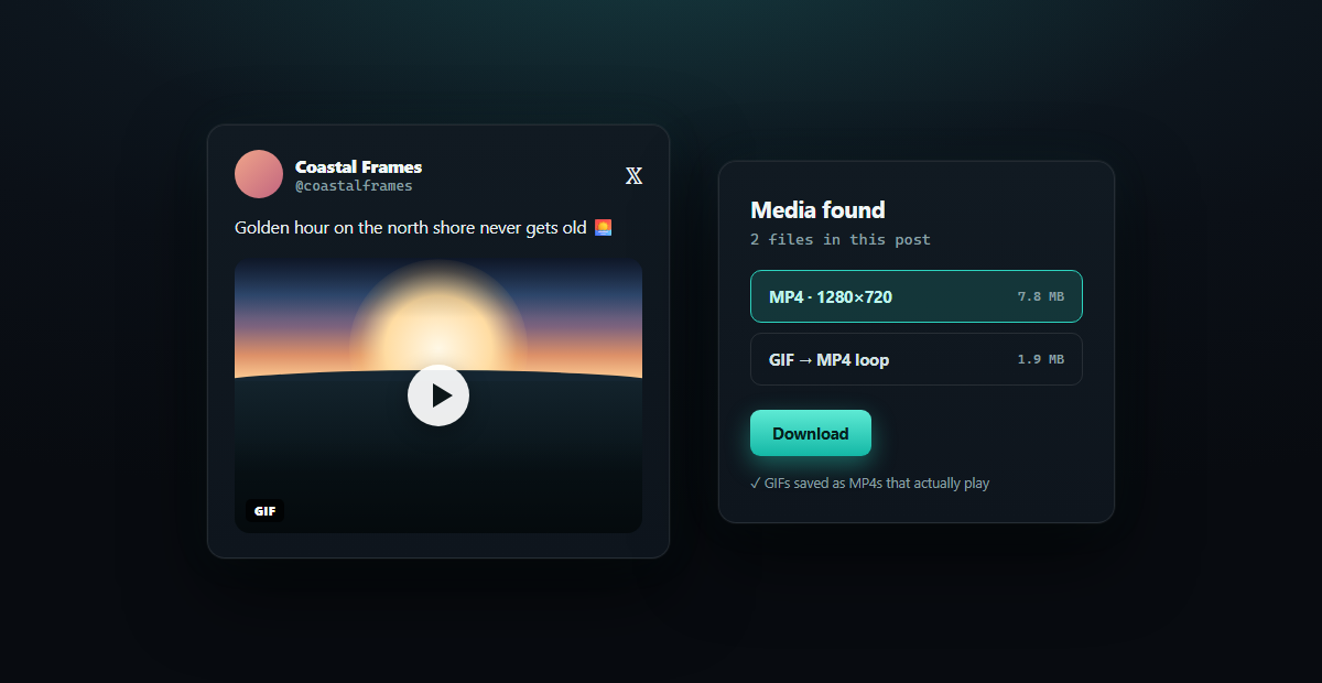 X (Twitter) Video Download — result panel